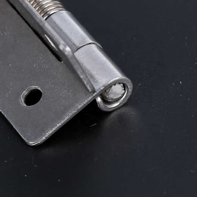 Iron Twin Spring Loaded Butt Hinge for Stainless Steel Hardware Accessory Cabinet