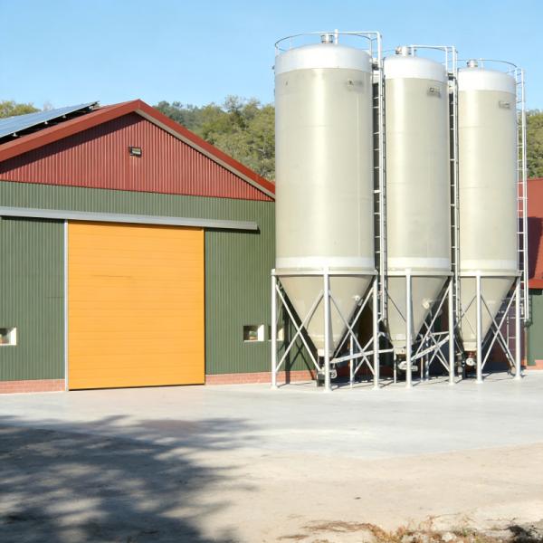 Commercial Broiler and Layer Chicken Farm High-Intensity Corrosion-Resistant Designed Chicken house