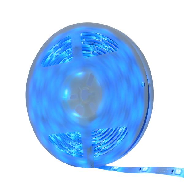 Dimmable DIY RGB Smart conduziu a tira com os 100 claros brancos frios - 240VAC