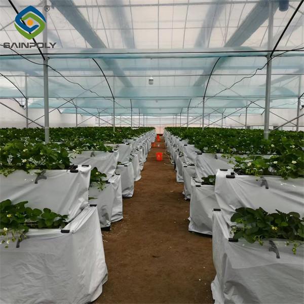 Low Energy Consumption Strawberry Plant Greenhouse Customized 1.1m Height
