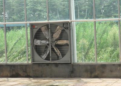 Highly Durable Greenhouse Cooling System Stainless Steel Blade Material Exhaust Fan