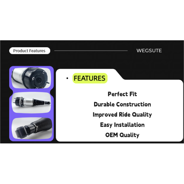 Jaguar XJ X350  (2003-2007) XJ358 (2007-2009) Rear Left/Right Air Suspension Shock Absorber C2C41346