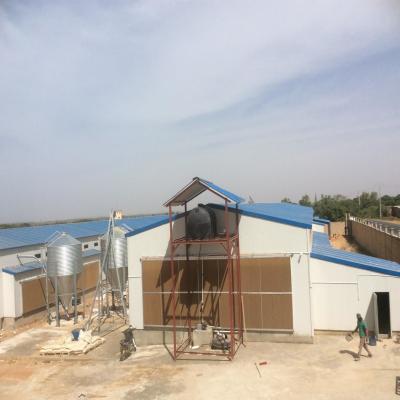 Industrial-Style Modern Metal Steel Structure Gymnasium for Chicken Breeding Milk