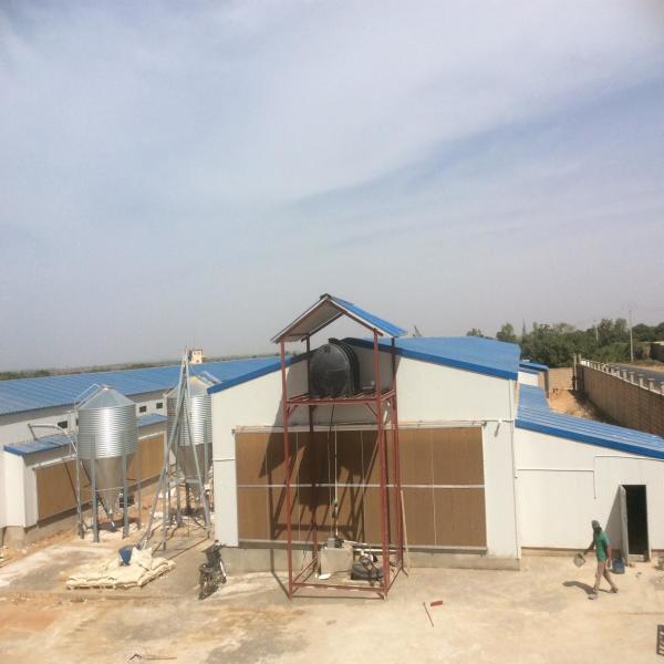 Industrial-Style Modern Metal Steel Structure Gymnasium for Chicken Breeding Milk