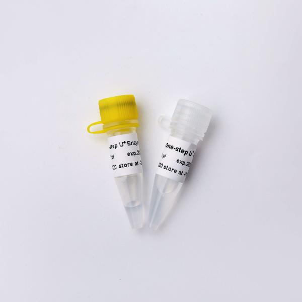 5× One Step Probe RT QPCR Master Mix Colourless Appearance