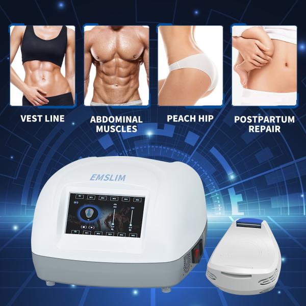 Portable Weight Loss Ems Body Sculpting Machine Rf Neo Mini