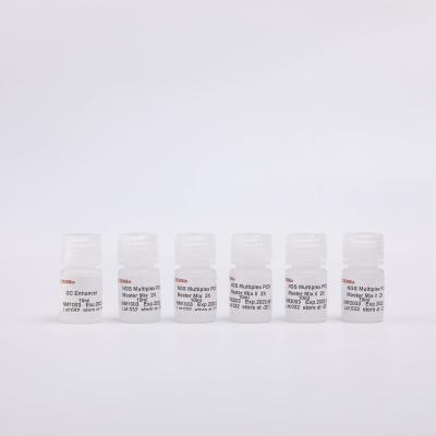 2000 Reactions PCR Reaction Mix GDSBio Colourless Appearance