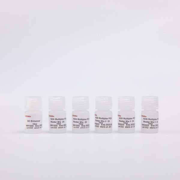 2000 Reactions PCR Reaction Mix GDSBio Colourless Appearance
