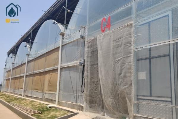 Big Agricultural Modern Garden Greenhouse Plastic Film Multi Span Nursary Greenhouse