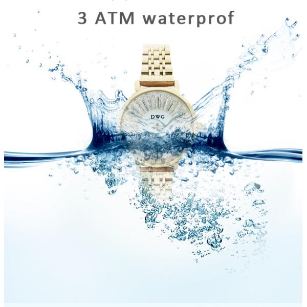 IP gold plating Ladies Waterproof Wristwatch Womens Fashion Watch
