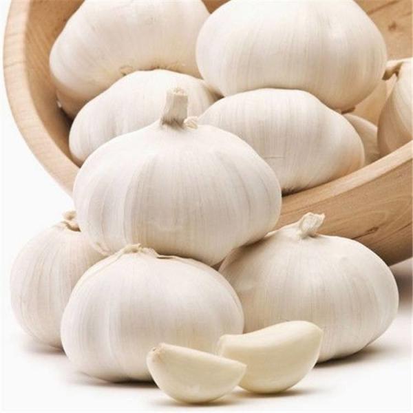 Pure White Normal White Garlic Dehydrated 4.5cm 5.0cm Size