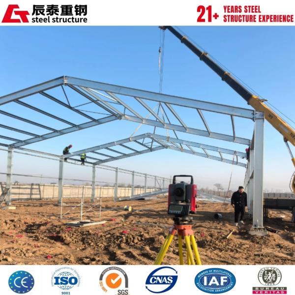 H-Section Steel Structure Livestock Greenhouse with Glass Walls