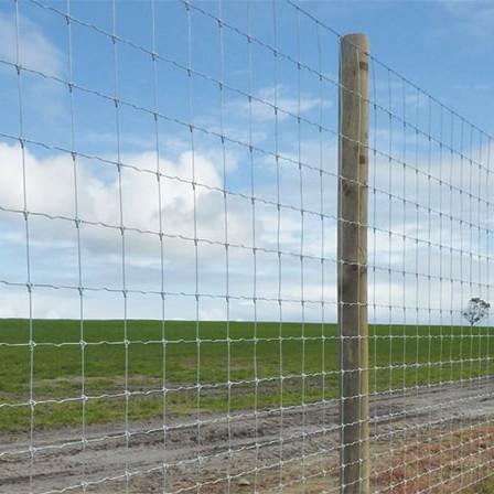 Anping factory good quality Cattle Fence Electrical Fencing For Cows
