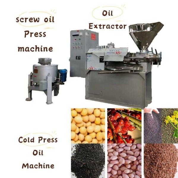 Second Press Series MCO-120 300kg/H Spiral Oil Press Machine Perilla Seed Soybean Oil