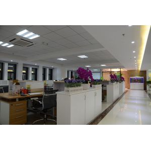 Yiwu Modern Trading Co., Ltd