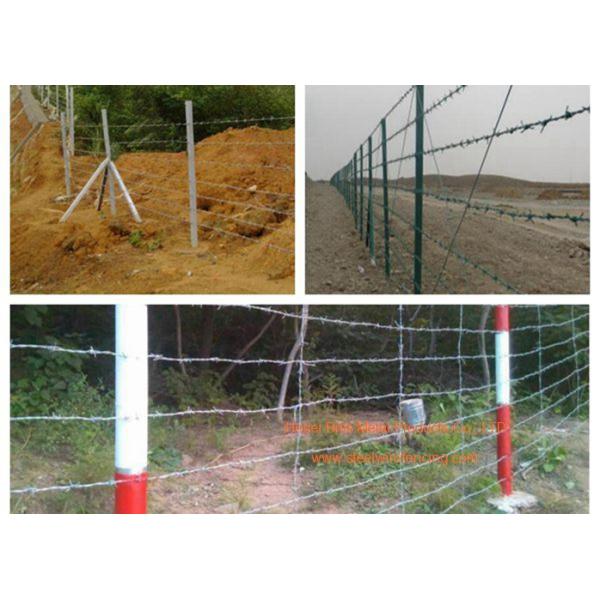 Electro Galvanized Fence Barbed Wire For Grass Boundary / Highway Protecting