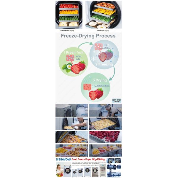 8Kg Commerial Lyophilizer Senova Biotech Home Food Freeze Dryer NovaDryer-HF600