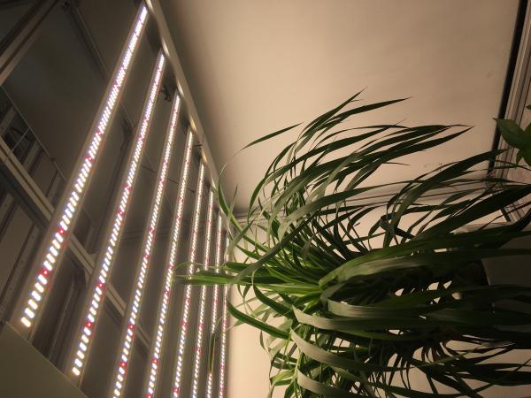 680W 2.7umol/J Led Grow Light Board For Indoor Plants