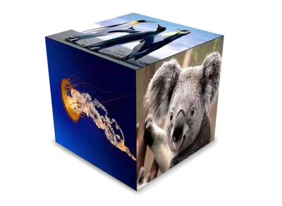 P2.5 P10 Flexible Led Video Display Wall 4 Sides Cube Logo Brand Custom Led Screen