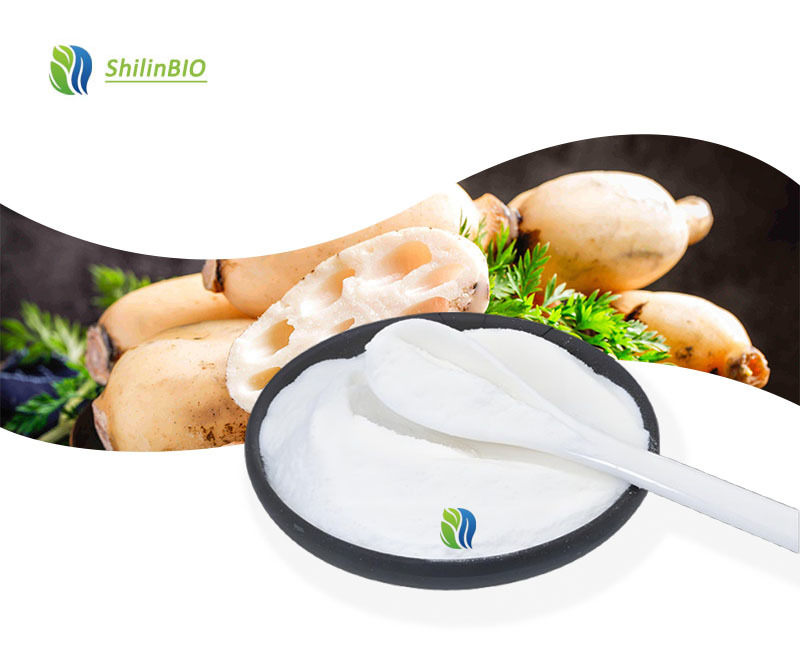 SLBIO Factory Direct Lotus Root Powder Raw Material Lotus Root Powder High Quality Lotus Starch