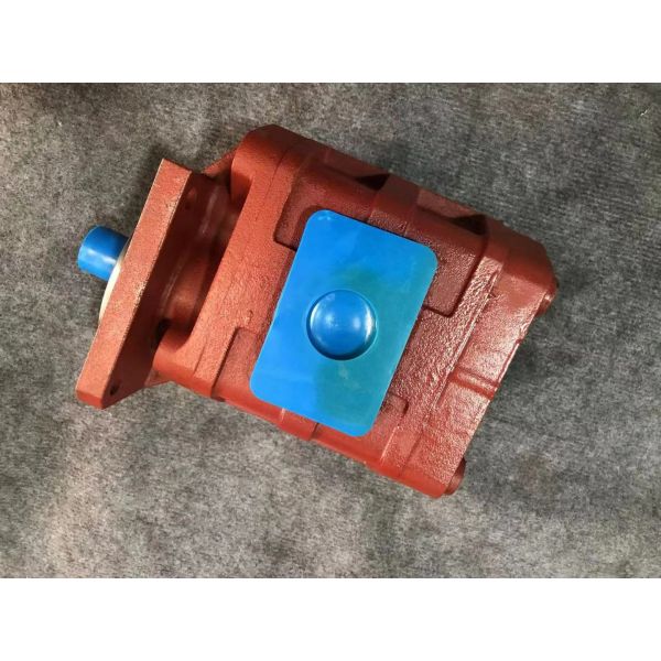 Gear oil pump Gear pumpP5100-F100NP3676/P124-G16Y03G P5100-F100NP3676/P124-G16Y18G P5100-F100NP3676/P124-G25G P5100-F100NP3676G factory