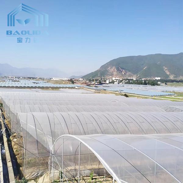 Estufa poli do túnel de Multispan dos vegetais com sistema de ventilação refrigerando