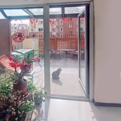 Telas retráteis pretas do inseto dos sistemas da porta de tela do Smart Home