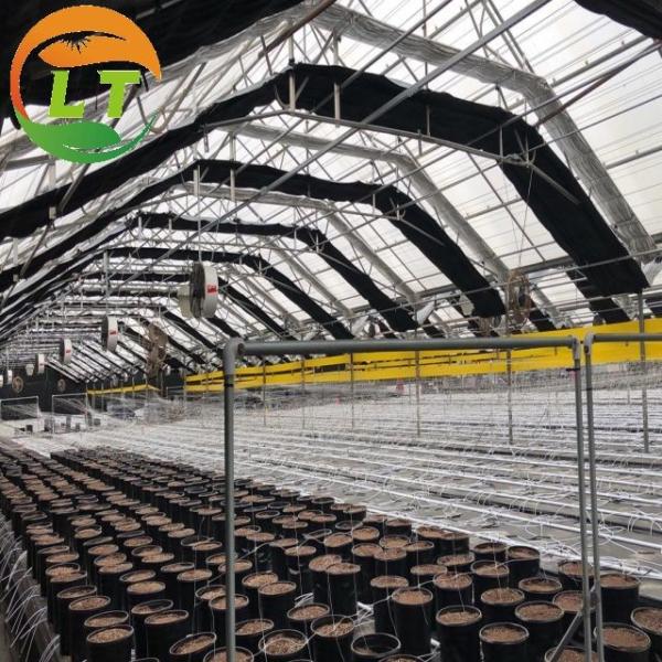 White Double Layer Greenhouse for Mushroom Farming Profitability