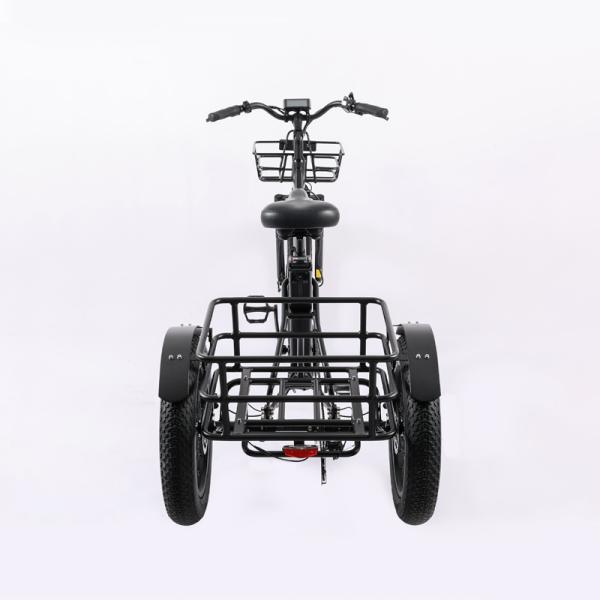 High Capacity Family Cargo Bike with Torque 80-90 Nm and Rear Carrier Battery Position