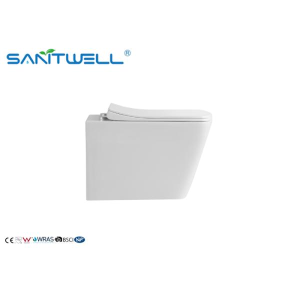 SWM9310 Commercial Washdown Rimless Toilet With UF Seat Cover Wall Hung Toilet