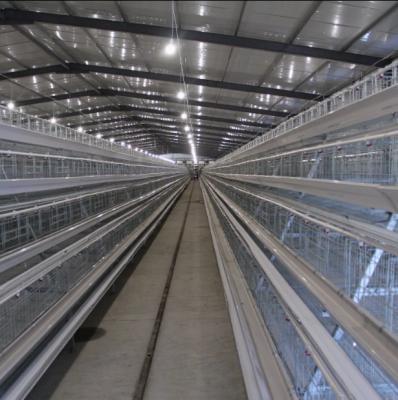 Broiler Poultry Farm Equipment with Automatic Feeding System, Environment Control, and Cooling Pad for Chicken House