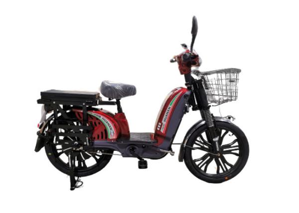 Steel Frame 48v 350w Adult Electric Bike 9 Mos Tube Controller