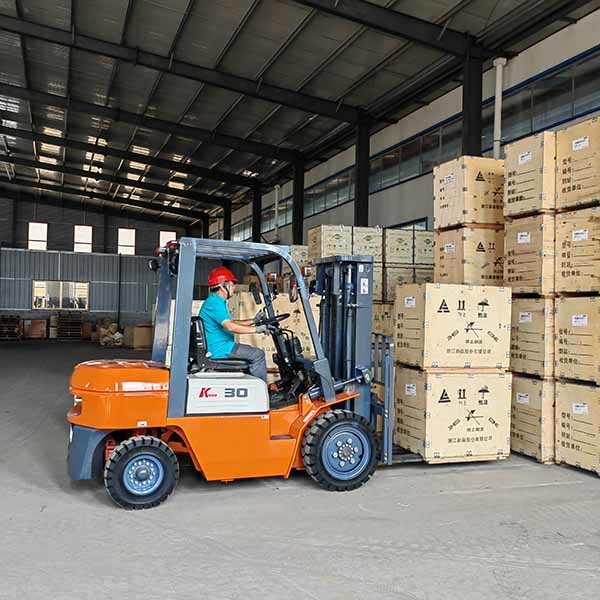 Duplex Mast Gasoline Powered Forklift 3000kgs Warehouse Equipment Forklift