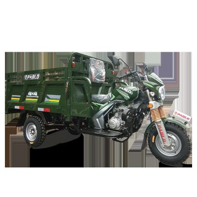 150cc Gasoline Cargo Tricycle Motorcycle 800kg Load Capacity