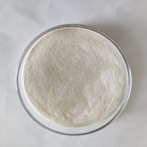 Alpha Amylase
