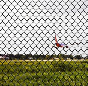 Elo de corrente Mesh Fencing Galvanized Power Coated da exploração agrícola e do campo 2mm