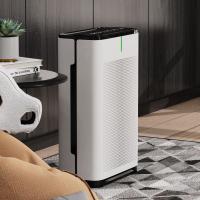 Bacterial And Virus Removal Plasma Air Purifier Hepa Filter UV Purification