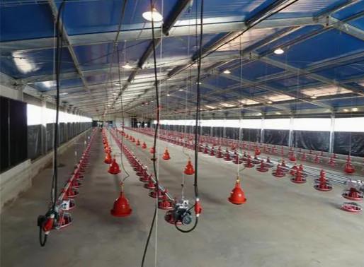 Metal Poultry Breeding Base Pre Engineered Metal Building