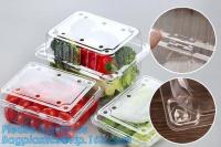 Empole o recipiente de alimento de empacotamento, recipiente descartável da salada de fruto da bolha, caixa plástica do fruto da bolha/recipiente/fruto