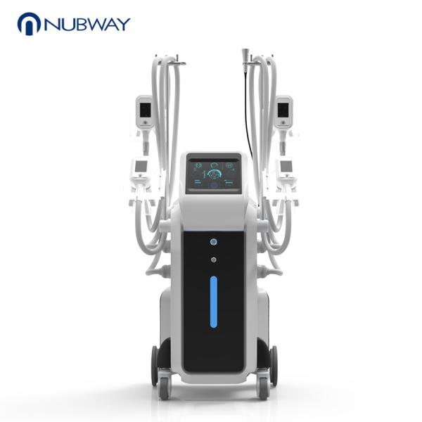 OEM/ODM Newest cryolipolysis 4 handles beauty machines cool shape fat freezing lipo cellulite