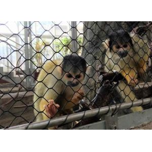 Black Oxide Flexible SS Aviary Rope Mesh Netting Diamond Woven Type