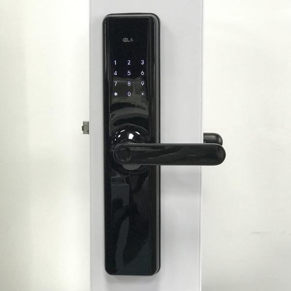 Aluminum Alloy Tuya APP Smart Lock Outdoor Fingerprint Door Lock