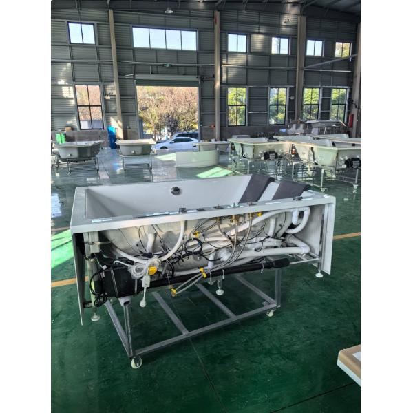 1800mm Whirlpool Massage Acrylic Bathtub for 2 Person Personalized Features Included