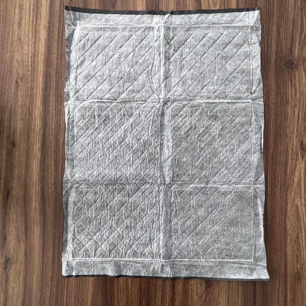 Disposable Pet Cleaning Care Products by SnuGrace for All Pets Cat Toilet Training Pad