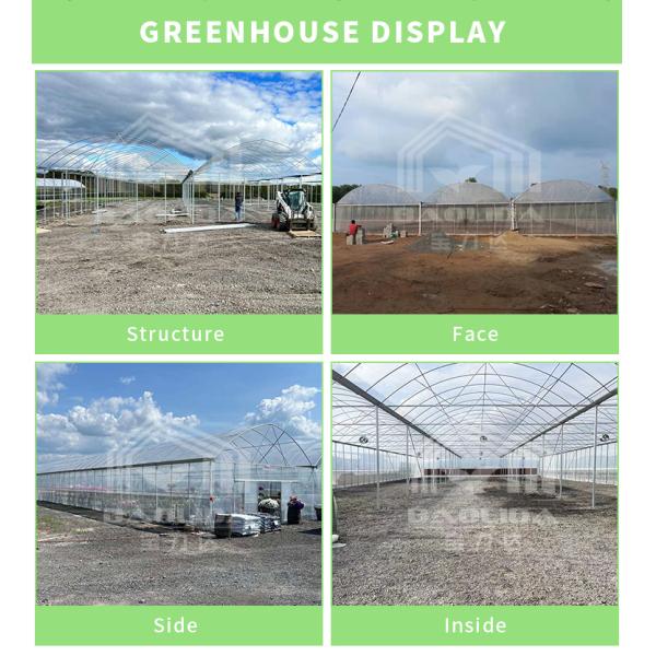 BAOLIDA 24x40m Single-Span Greenhouse With 150micron PE Film