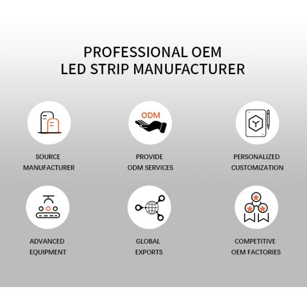 Tubo de neón LED flexible de silicona de 06*13 mm IP65, luces de tira de neón LED flexibles de emisión lateral antigolpes