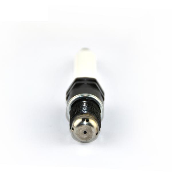 Vela de ignição industrial R6GC1-77-SPECIALLY da tocha projetada para o gato