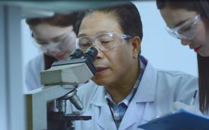 Dewei Medical Equipment Co., Ltd