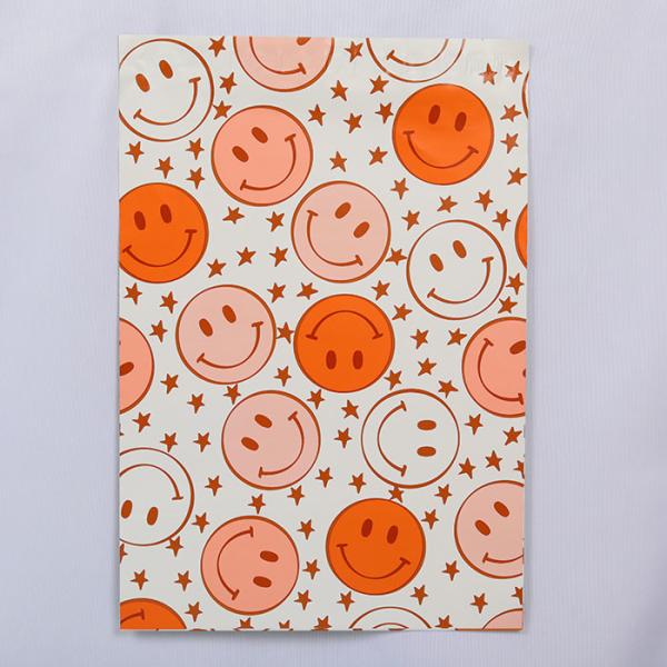 Recyclable Sustainable Shipping Bags Starting Size 15x25cm Plastic Mailing Bags