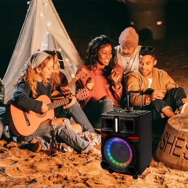 600 Watts Party Bluetooth Party Box Speaker 8 Inch Outdoor With Strong Bass